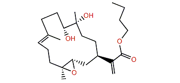 Xidaosinularide C